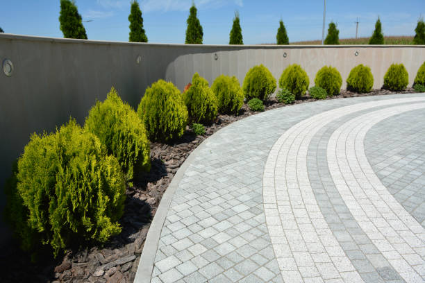 Best Residential Driveway Paver Services  in Vinton, IA